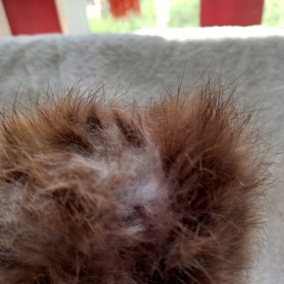 Mid Century teak Scandinavian buck toothed 8 1/2 clown? bear, chipmonk figurine - Picture 7 of 10